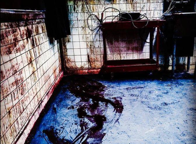 洛杉矶· 密室推荐 | 请务必带好智商与胆量 洛杉矶· 密室推荐 | 请务必带好智商与胆量