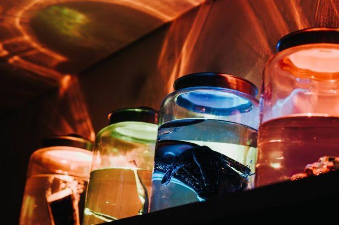 洛杉矶· 密室推荐 | 请务必带好智商与胆量 洛杉矶· 密室推荐 | 请务必带好智商与胆量