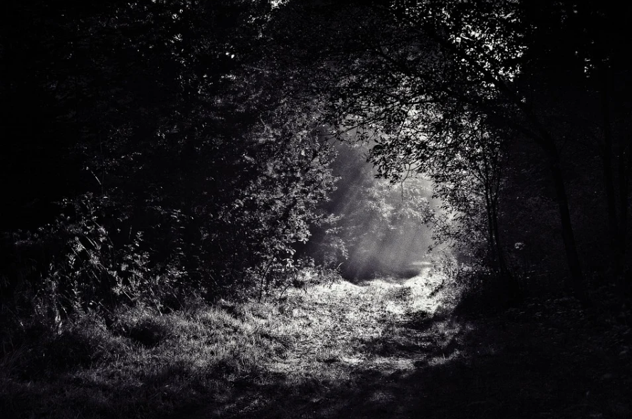 参选测评 | 北京《旺角诡楼》-当“僵尸片”邂逅“沉浸式”