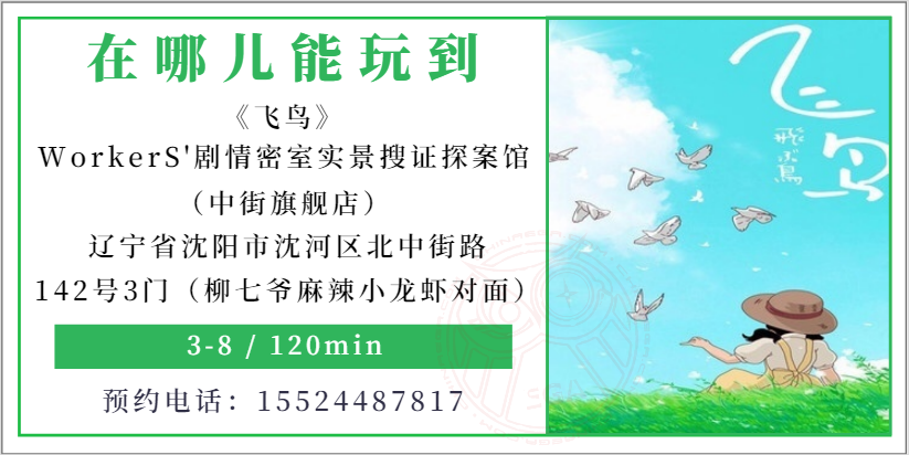 参选测评|沈阳《飞鸟》-温暖人心的日式小品 参选测评|沈阳《飞鸟》-温暖人心的日式小品