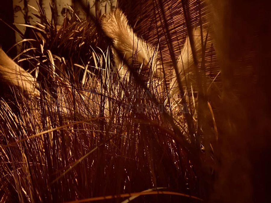 参选测评 | 广州《阿姐鼓》-来自天堂的歌声 参选测评 | 广州《阿姐鼓》-来自天堂的歌声