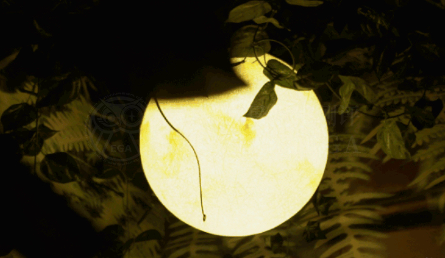 参选测评 | 深圳《斯德哥尔摩情人》- 披着言情外衣的剧情推理