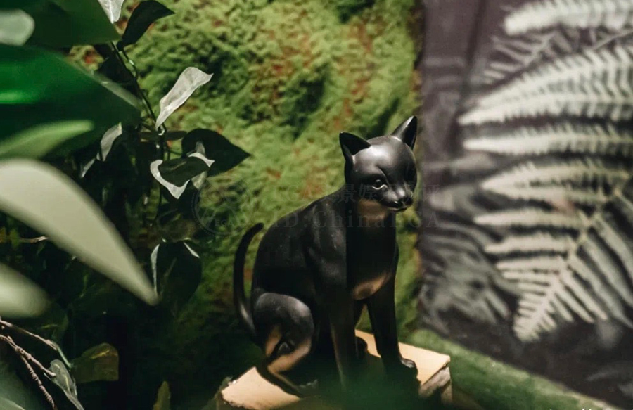 参选测评 | 深圳《斯德哥尔摩情人》- 披着言情外衣的剧情推理